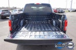 2015 F-150 Thumbnail 13