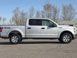 2016 F-150 Thumbnail 8