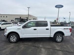 2017 F-150 Thumbnail 2