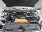 2017 F-150 Thumbnail 9