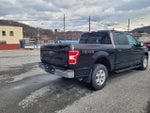 2018 F-150 Thumbnail 8