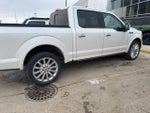 2019 F-150 Thumbnail 7