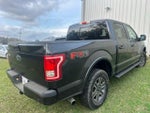 2015 F-150 Thumbnail 3