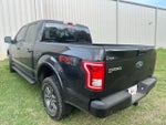 2015 F-150 Thumbnail 7