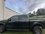 2015 F-150 Thumbnail 8