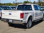 2015 F-150 Thumbnail 5