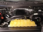 2015 F-150 Thumbnail 20