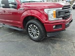 2018 F-150 Thumbnail 4