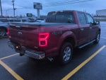 2018 F-150 Thumbnail 3