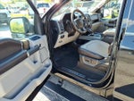 2020 F-150 Thumbnail 12