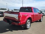 2015 F-150 Thumbnail 3