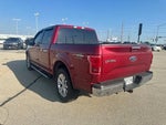 2016 F-150 Thumbnail 3