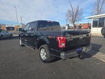 2016 F-150 Thumbnail 7