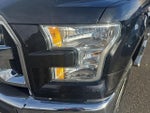 2016 F-150 Thumbnail 29