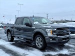 2018 F-150 Thumbnail 3