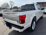 2019 F-150 Thumbnail 7