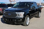 2020 F-150 Thumbnail 2