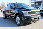 2020 F-150 Thumbnail 4