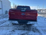 2015 F-150 Thumbnail 10