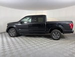 2015 F-150 Thumbnail 4