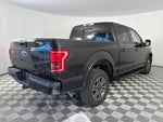 2015 F-150 Thumbnail 7