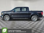 2015 F-150 Thumbnail 10