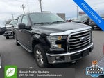 2015 F-150 Thumbnail 18