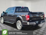 2015 F-150 Thumbnail 14