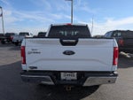 2016 F-150 Thumbnail 5