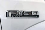 2017 F-150 Thumbnail 6