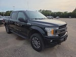 2018 F-150 Thumbnail 6