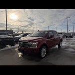 2019 F-150 Thumbnail 2