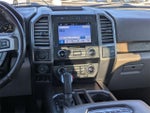 2019 F-150 Thumbnail 13