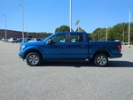 2015 F-150 Thumbnail 7