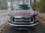 2015 F-150 Thumbnail 2