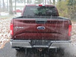 2015 F-150 Thumbnail 10