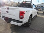 2016 F-150 Thumbnail 9