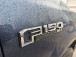 2017 F-150 Thumbnail 12