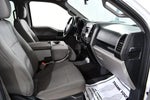 2017 F-150 Thumbnail 8
