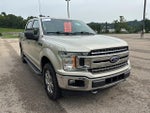2018 F-150 Thumbnail 6