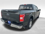 2018 F-150 Thumbnail 7