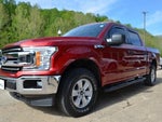 2019 F-150 Thumbnail 2