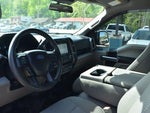 2019 F-150 Thumbnail 31