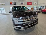 2019 F-150 Thumbnail 4
