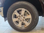 2019 F-150 Thumbnail 15