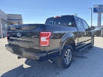 2019 F-150 Thumbnail 5