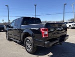 2019 F-150 Thumbnail 7
