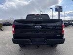 2019 F-150 Thumbnail 16