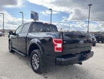 2019 F-150 Thumbnail 19