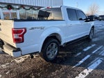 2019 F-150 Thumbnail 3